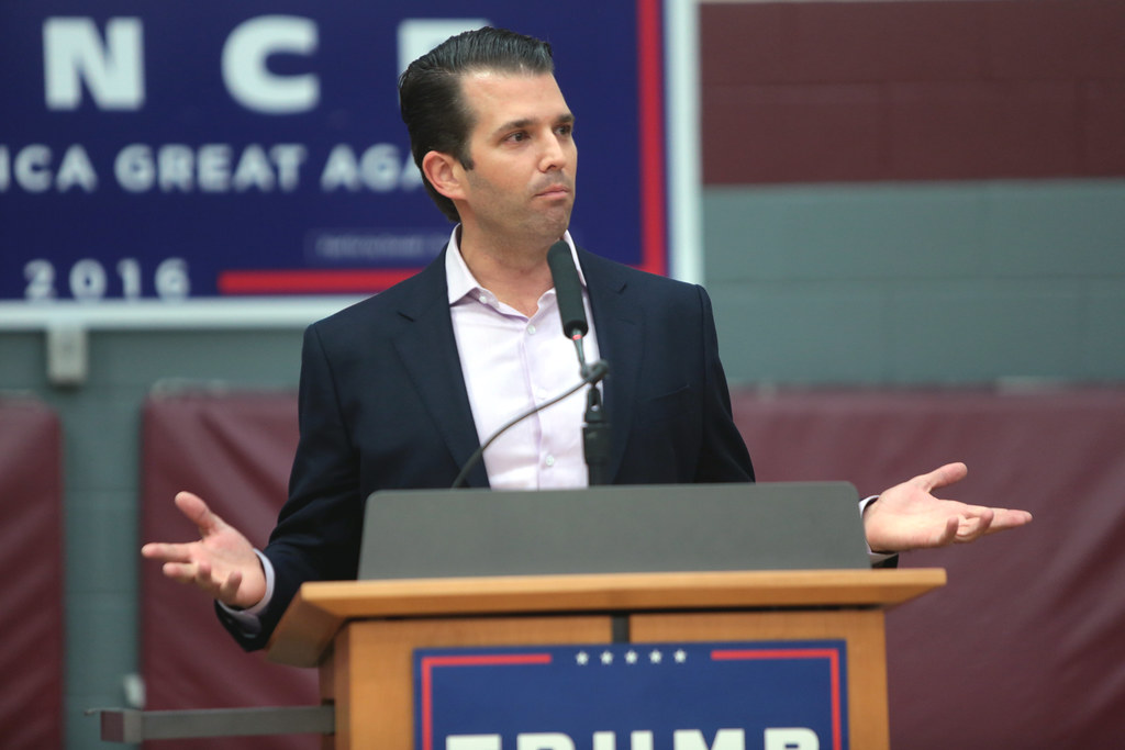 Don-Jr Little Don
